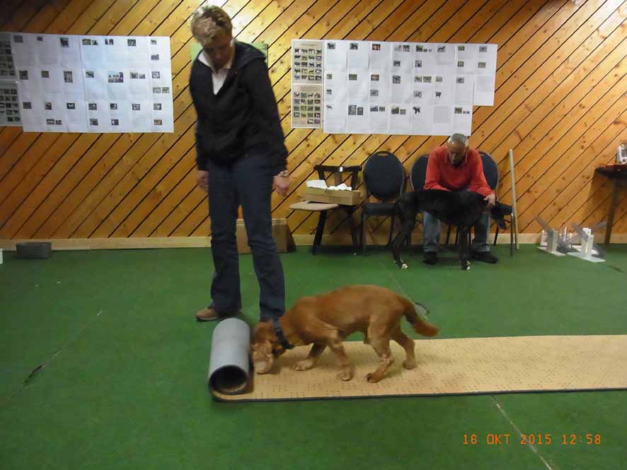 Roll out - Odin3.jpg (886 x 665)